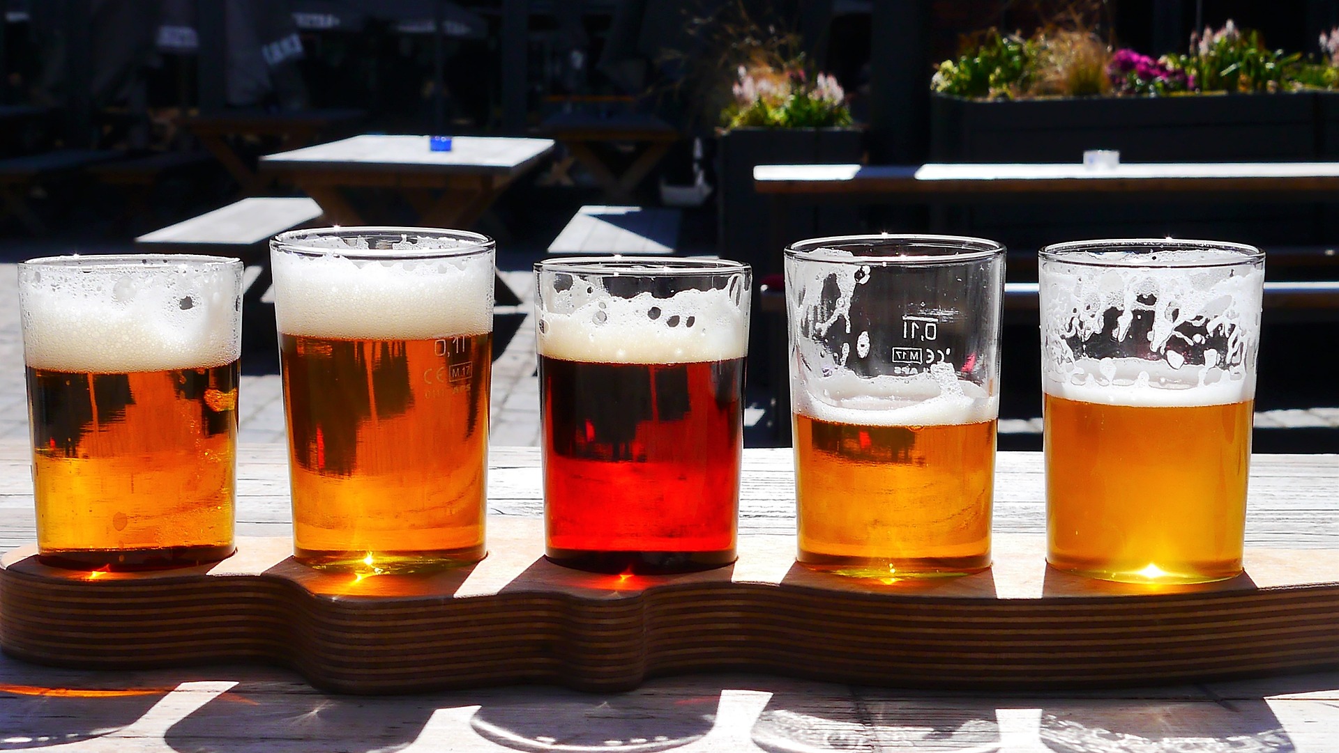 flight of tasty beer, IPA and Pilsner